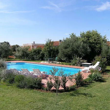 Yellow House By Interhome Villa Zadar